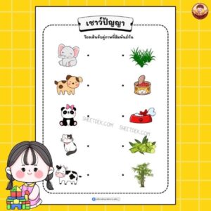 เชาว์ปัญญา อนุบาล 1