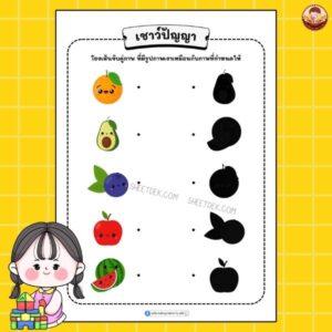 เชาว์ปัญญา อนุบาล 1