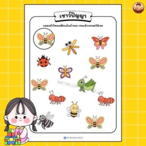 เชาว์ปัญญา อนุบาล 1