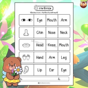 แบบฝึกหัดภาษาอังกฤษ อนุบาล 3